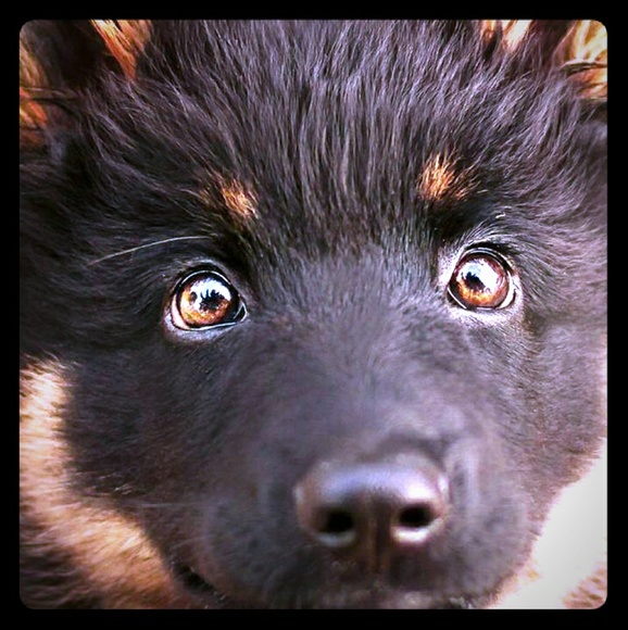 Meet the Posher Other - Stylish,unique,and cute clothes.